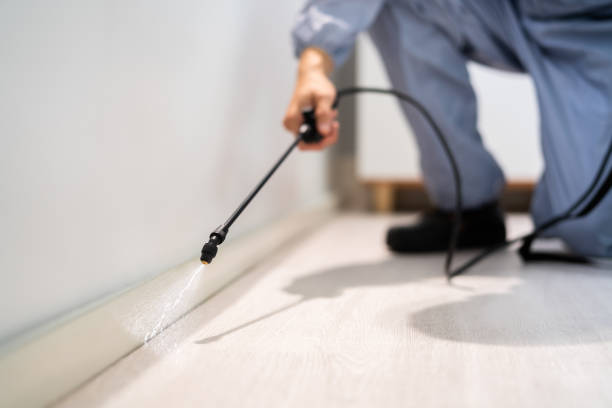 Licensed Rodent Control service in Buckhall, VA - Nex Pest Control
