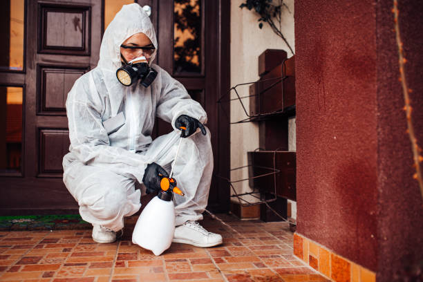 Reliable Rodent Control contractor in Buckhall, VA by Nex Pest Control