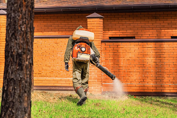 Top rated local Rodent Control specialists in Buckhall, VA